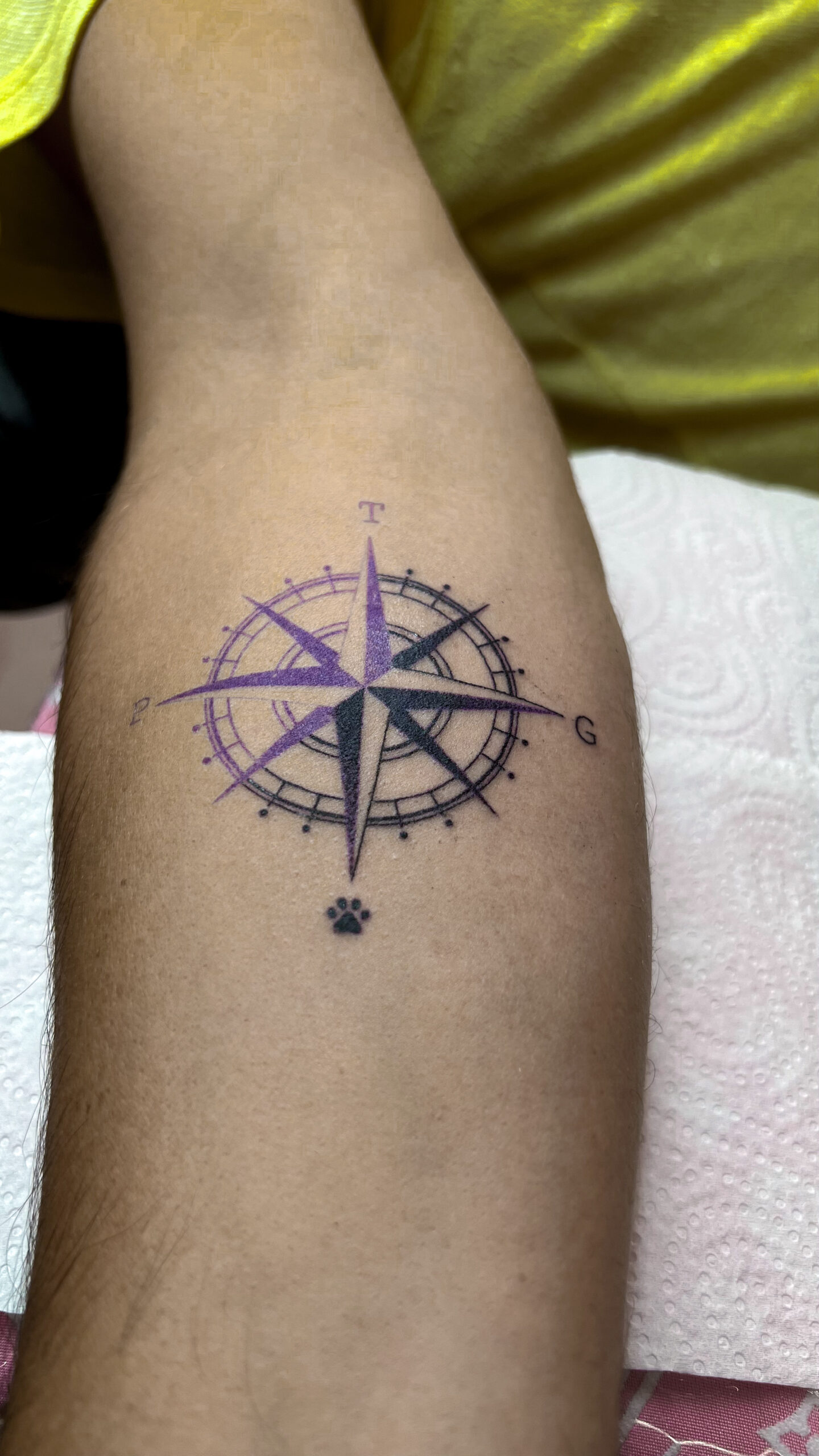 Fer Fine Line Art 11