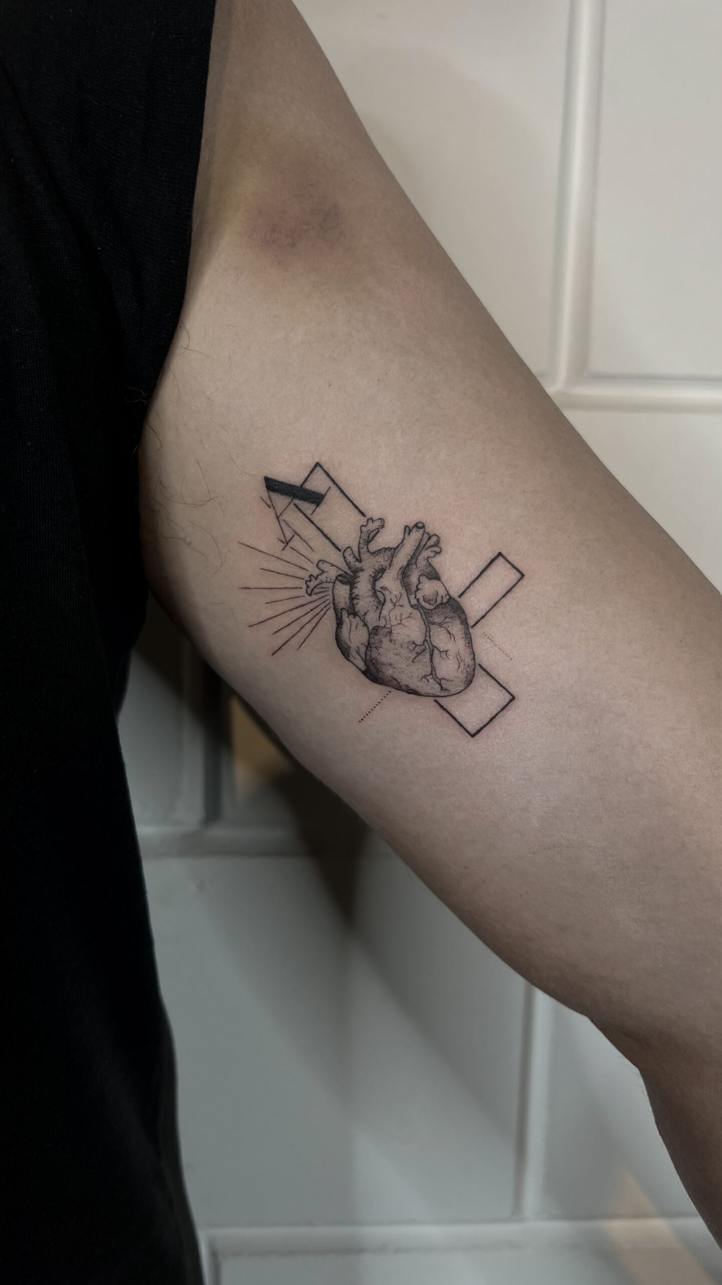 Fer Fine Line Art 13